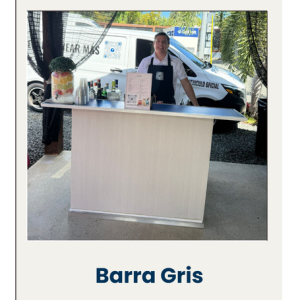 Barra gris+ Bartender